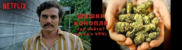 мяу мяу мука Беломорск