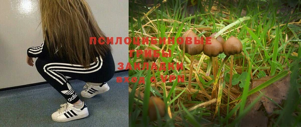 мяу мяу мука Беломорск