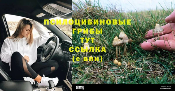 мяу мяу мука Беломорск