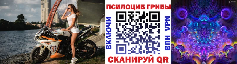 Галлюциногенные грибы Magic Shrooms  Гремячинск 